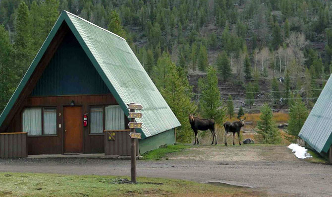 Cabins - Wyoming Lodging | Pahaska Tepee Resort WY